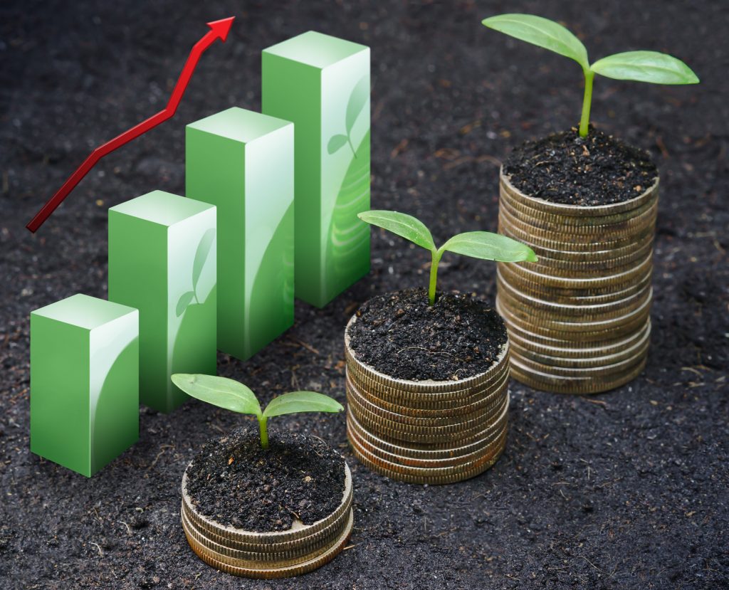 tress growing on coins / csr / sustainable development tress growing on coins / csr / sustainable development