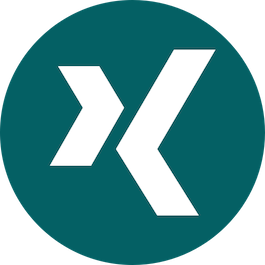 Xing icon